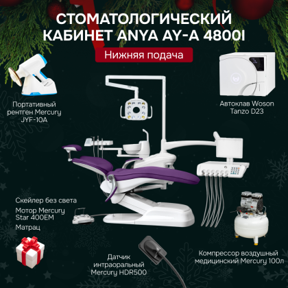 Стоматологический кабинет Anya AY-A 4800i нижняя подача
